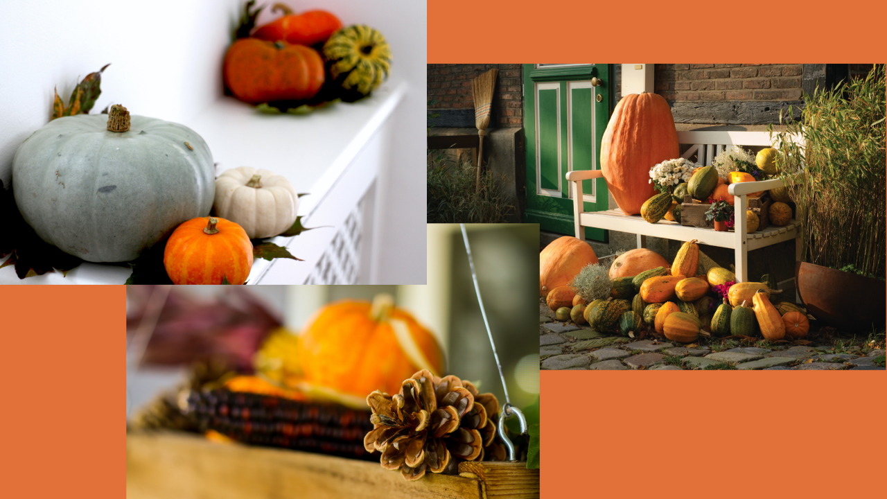 >Autumnal décor to spice up your property!