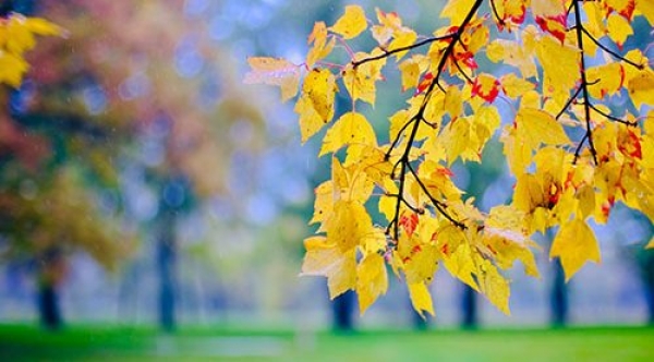 TIPS FOR SELLING YOUR HOME AFTER THE CLOCKS GO BACK