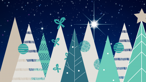 Pilgrims hospice Christmas tree collection!