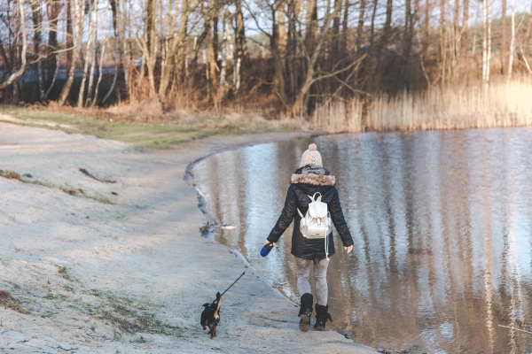 Winter Walks