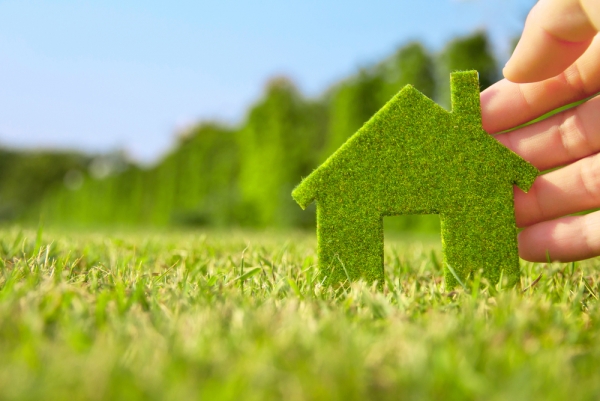 The Green Home Grant