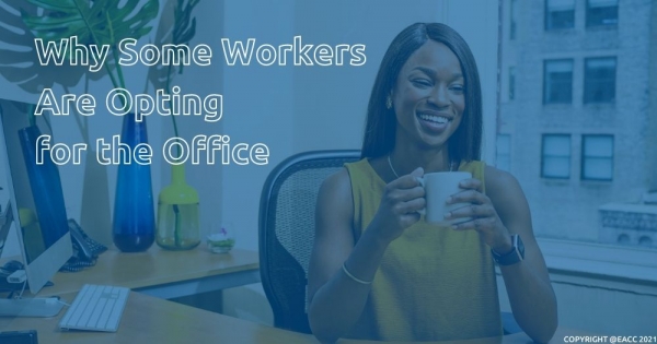 Why Might the Office Make a Comeback in Bromley and the South East?