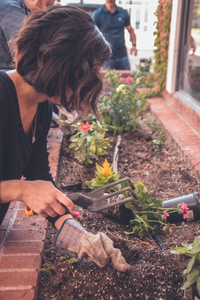On DIY Day, Six Easy Projects to Help Sell Your House in Bromley Quickly