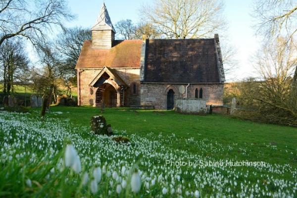 Snowdrops - the dramatic start to the new property year