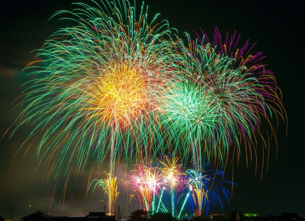 Look after your pets during fireworks