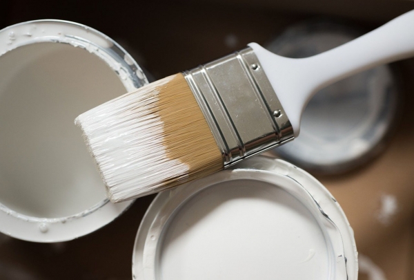 2021 Paint Trends: Why Magnolia is Out, and Dead Salmon is in!