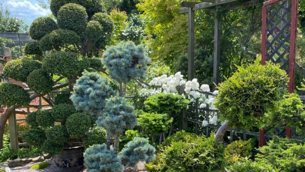 Gardens are good for you so why not visit a local one this weekend