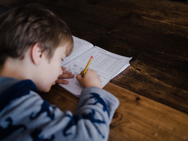 What Homeschooling Can Teach You about Selling a Property