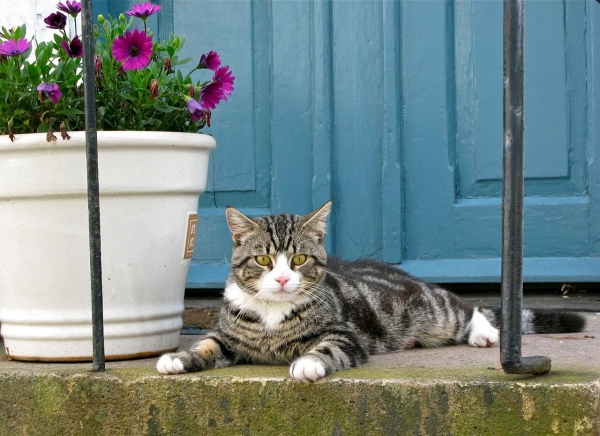 What Can I Do To Boost My Properties Kerb Appeal?