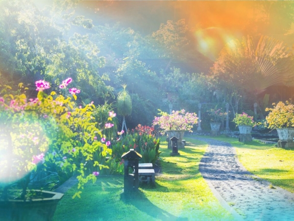 Make the most of your garden this summer