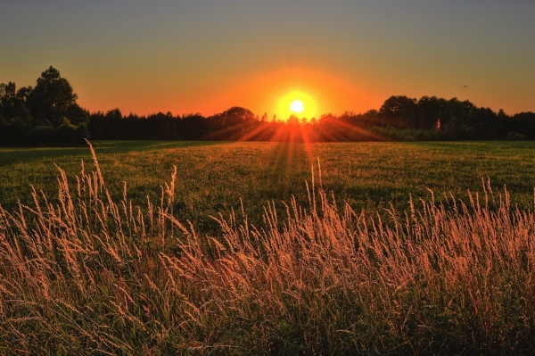 Why Hope is on the Horizon