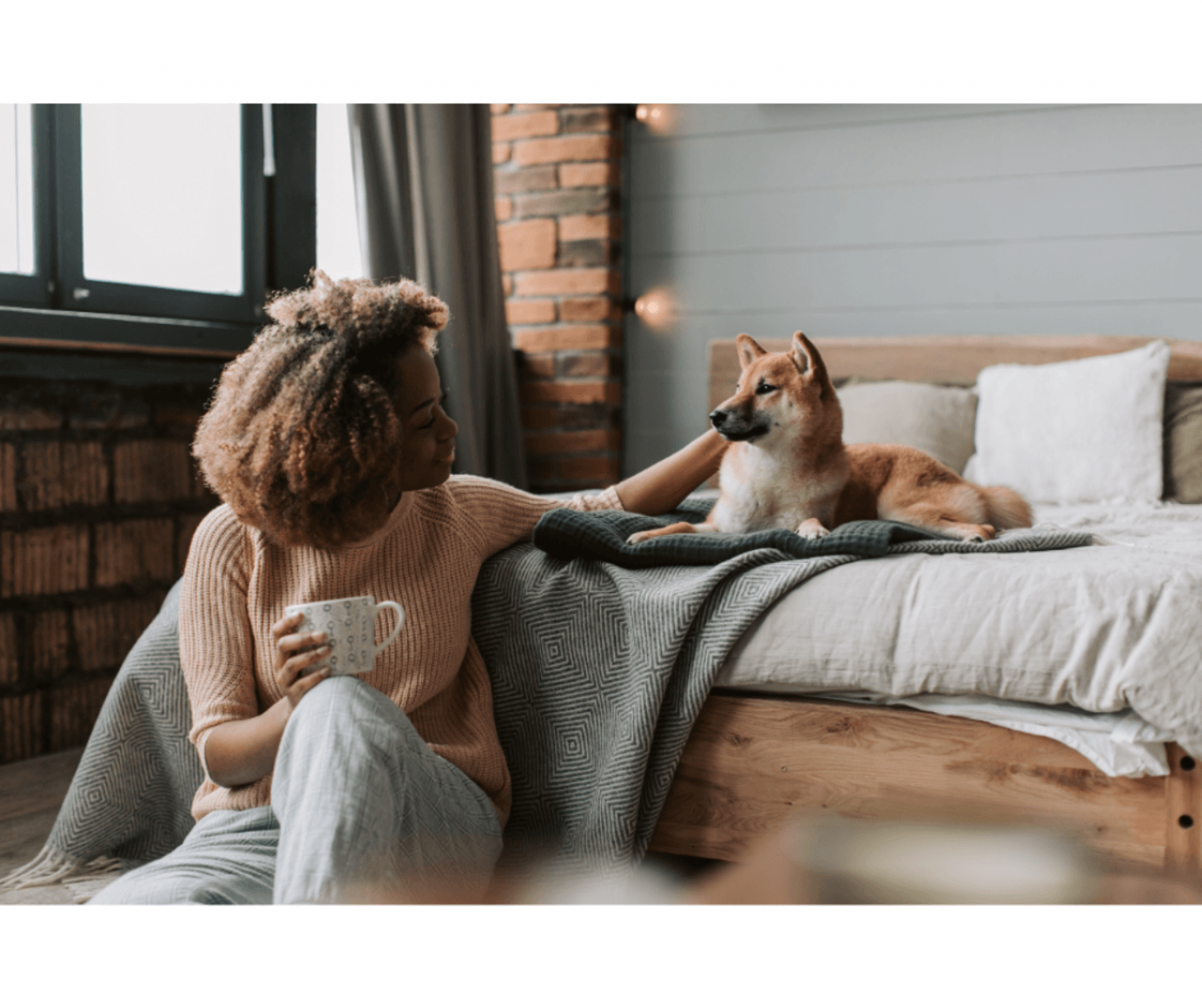 Renters' Rights 2026 - Pets in Rental Properties