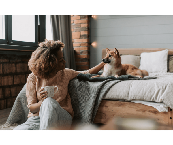 Renters' Rights 2026 - Pets in Rental Properties