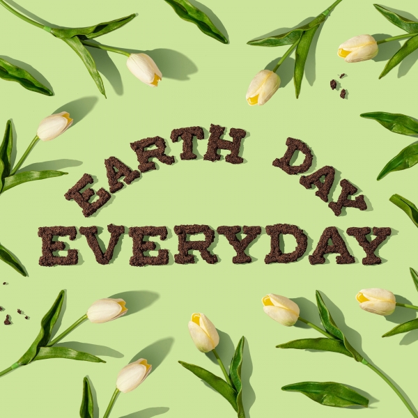 Ways to make your Sidcup Home more Eco-friendly