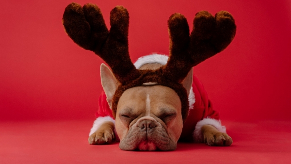 Four Ways a Letting Agent Can Help Landlords Relax at Christmas