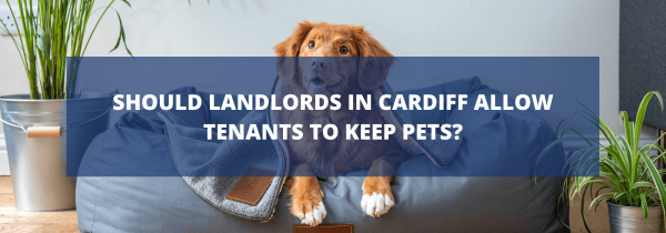 Should Landlords in Cardiff Allow Tenants to Keep Pets?