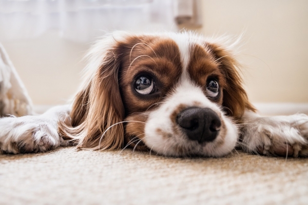 Top 5 ways to attract tenants