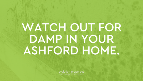 Watch out for damp in your Ashford home.