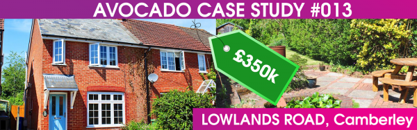 Avocado Case study of Success #013