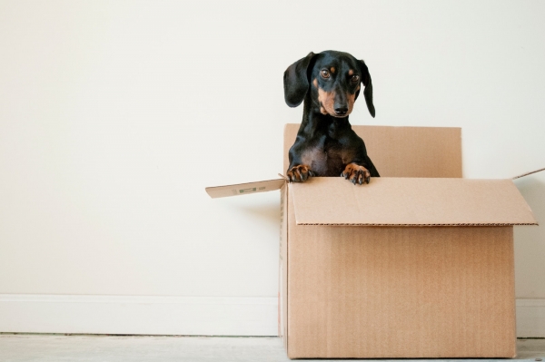 Tips for moving