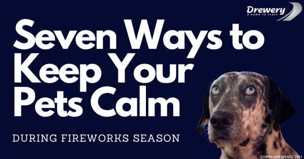 Seven Ways to Keep Your Pets Calm in Sidcup During Fireworks Season