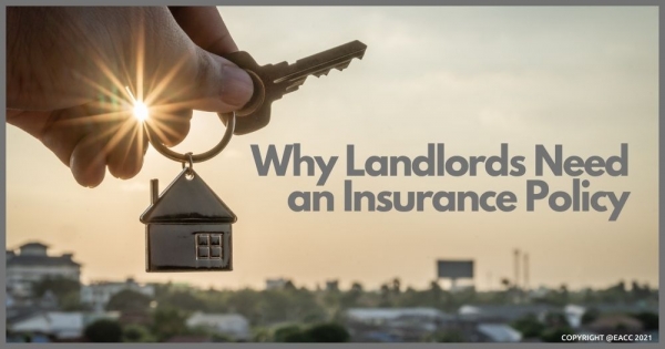 Why Neath Landlords Need an Insurance Policy