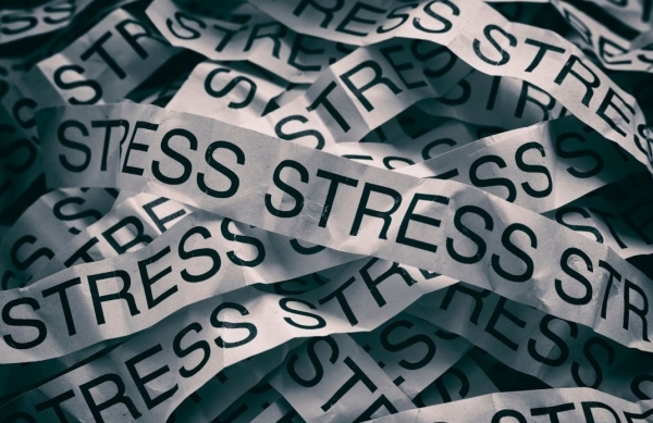 How You Can Stop Feeling Stressed
