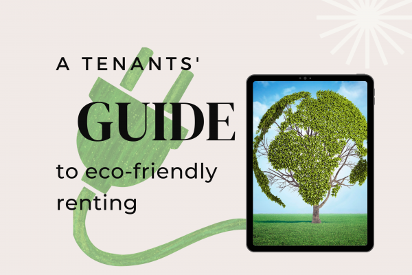 Tenant's guide to eco-friendly renting
