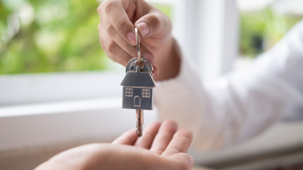 How the property market has changed over the last year at evolution properties!
