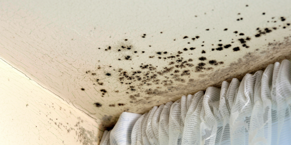 5 Ways to Prevent Mould Growth in Your Home