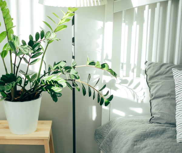 Home Envy - Décor Ideas