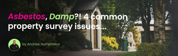 4 Common issues found during a property survey
