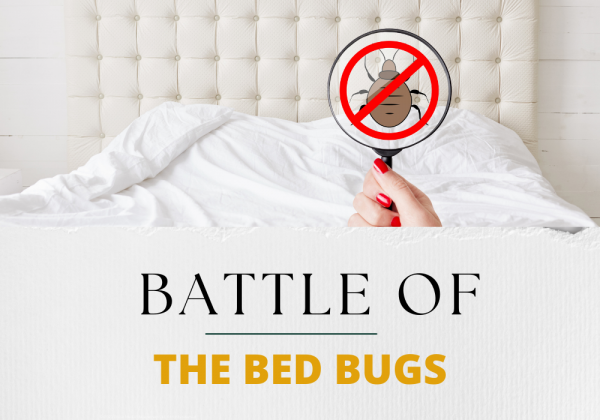 Battle of the Bed Bugs