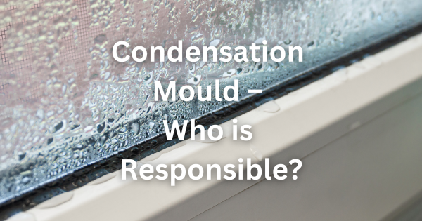 Condensation Mould – Who is Responsible?