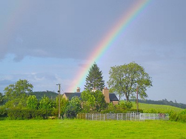 Is your house a pot of gold?