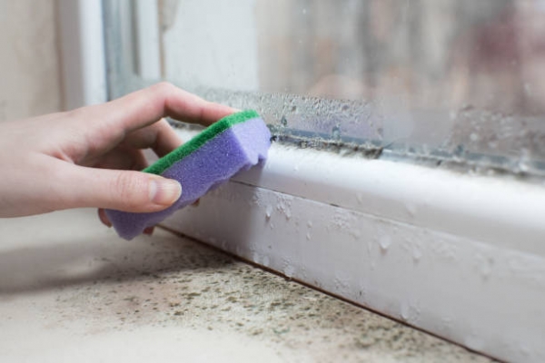 Causes of Damp and Mould