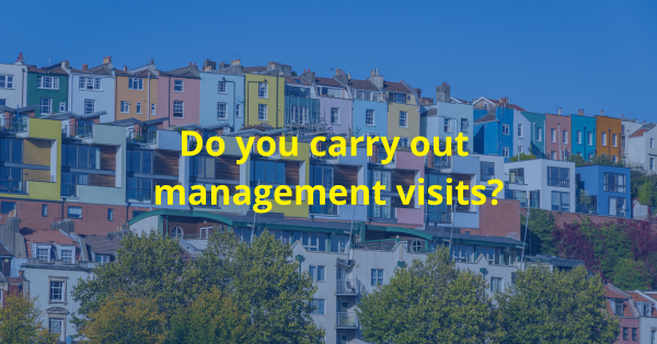 Do you carry out  management visits?