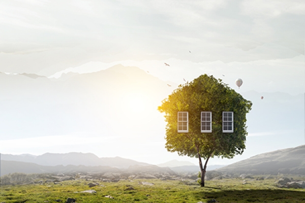 A guide to making your rented property greener
