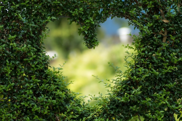 Greenfingered?  It's GOOD for you!