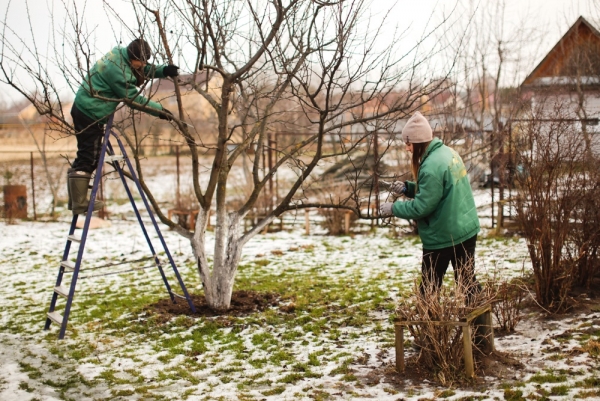 How to prepare your outdoor areas in Winter.