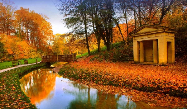 Top five things to do this half term break