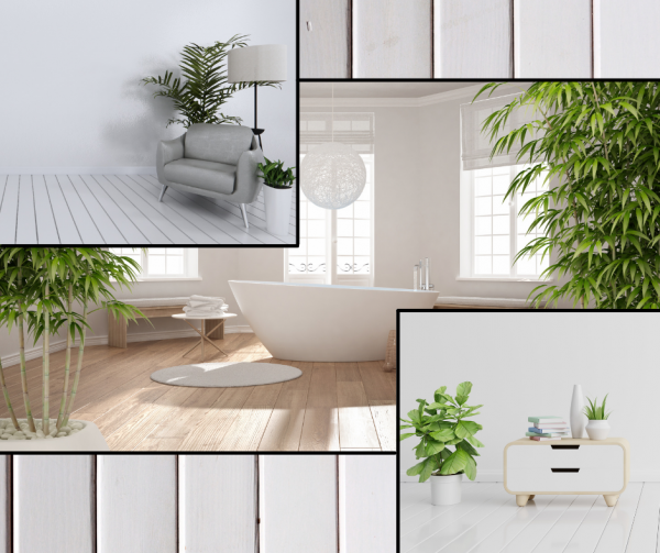 Spruce up for Spring!