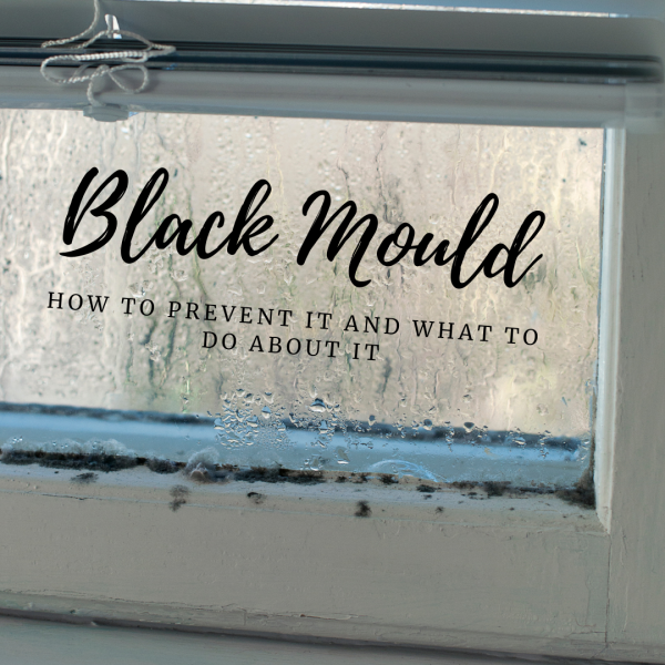 Black Mould: How to Prevent It and What to Do About It