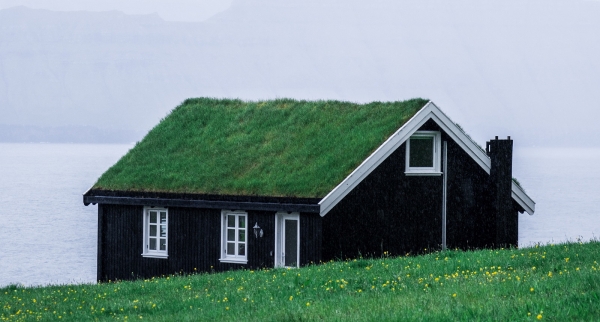 Landlords, have you thought about benefiting from the new Green Homes Grant?