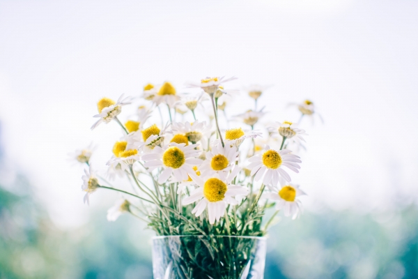 Why Landlords Should Give Their Property Strategy a Spring Clean