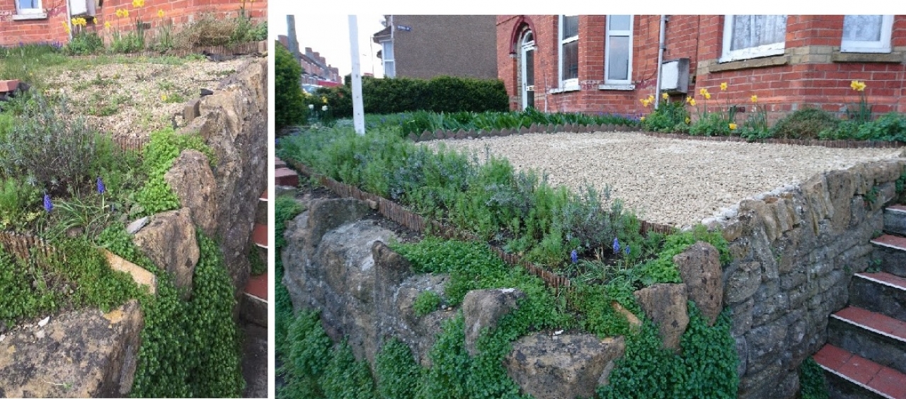 >garden before and after updating
