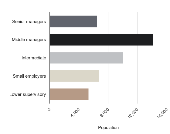 Socio-demographics