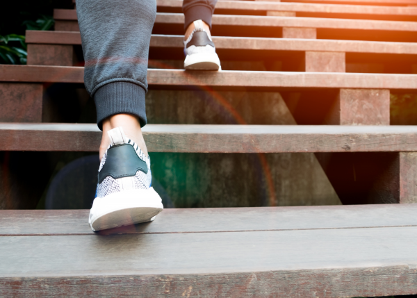Six steps to being a successful landlord in Launceston